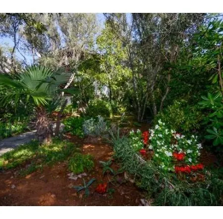 Apartamento With Parking Space Krk - 11646 *